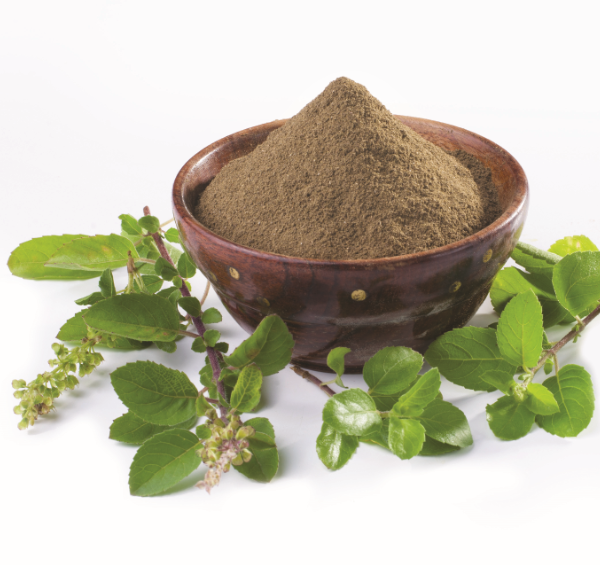 Basil Powder